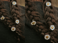 Nielawore