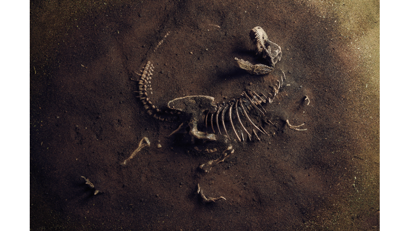 İlk Boynuzlu Dinozor Avrupa’da Bulundu