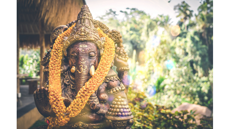 Hindistan ve Türkler