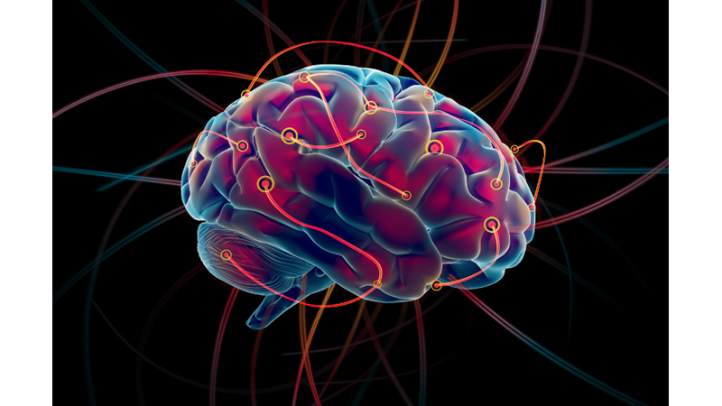 Beyin Dalgaları ve Benzerleri