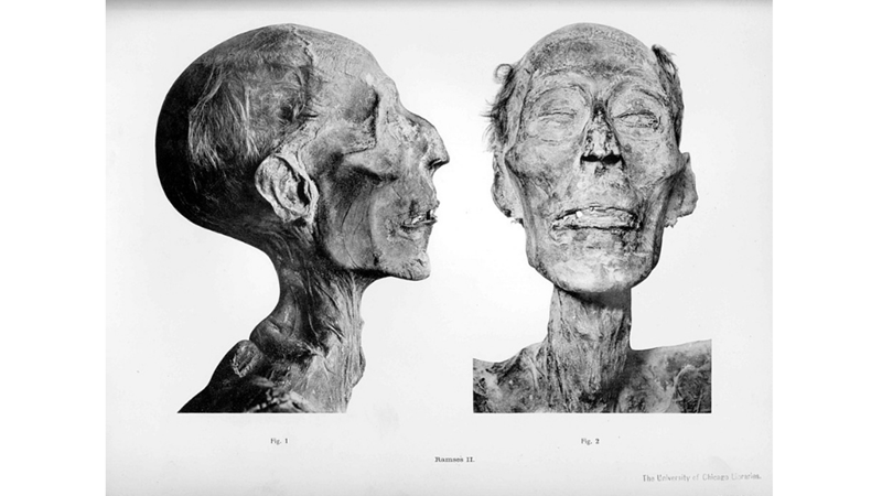 A PASSPORT ISSUED TO RAMSES II, MUMMIFIED 3000 YEARS AGO