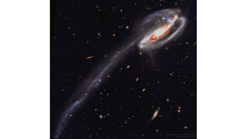 LONG-TAILED GALAXY: ARP 188