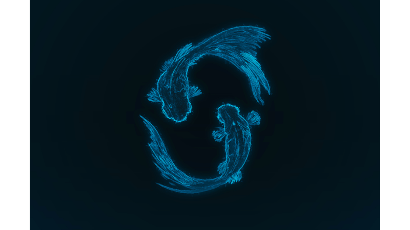 Osmanlı’da BURÇLAR: HÛT (Balık)