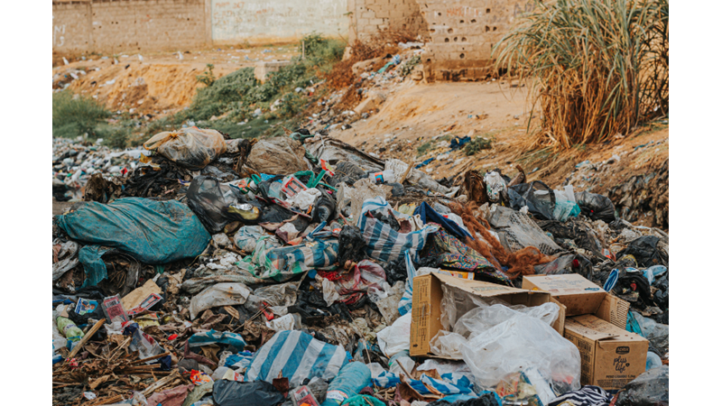 Kraliçe Sarayı Neden Terk Etti?