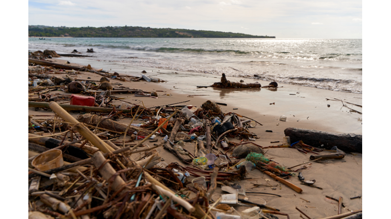 Kötü Koku Kraliçeyi Nasıl Kaçırdı?