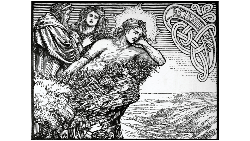 İNTİKAM ALAN KAR TANRIÇASI