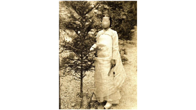 YUMURTA HAYALET: DALGYAL GWISHIN