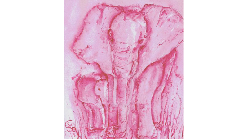 PEMBE FİLİ DÜŞÜNMEYİN!