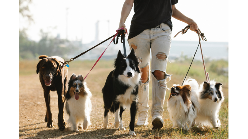 3-4 EKİM DÜNYA YÜRÜYÜŞ GÜNÜ