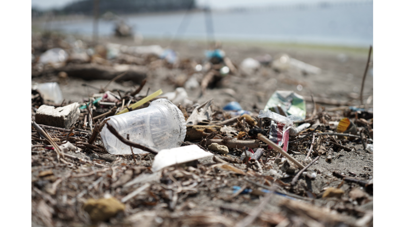 KENDİMİZİ KEŞFETMENİN EĞLENCELİ YOLU: KOKOLOJİ