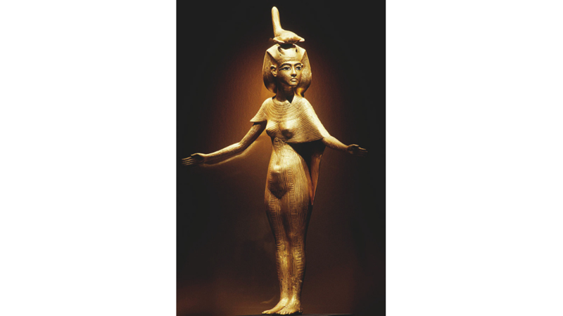 ORGAN KORUYUCUSU AKREP TANRIÇA: SELKET