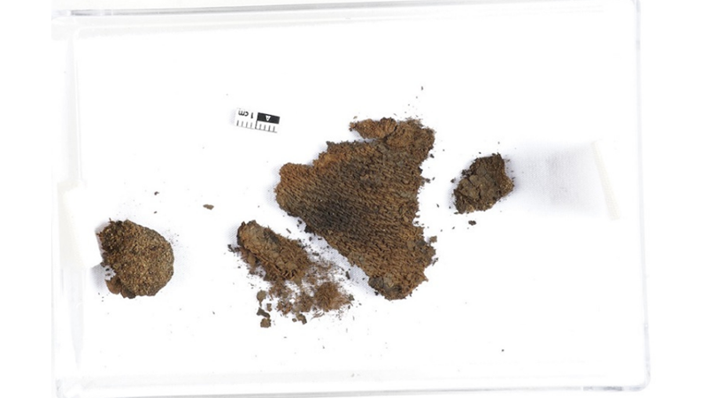 TİCARETTE VİKİNG KADINLARININ ETKİSİ