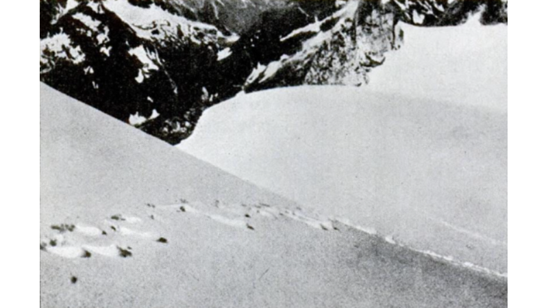 İNSANIMSI DEV PRİMAT: YETİ