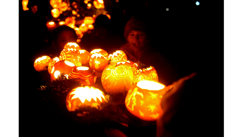 TÜRKİYE’DE OLMASI GEREKEN FESTİVAL: RICHTERSWIL ŞALGAM FESTİVALİ