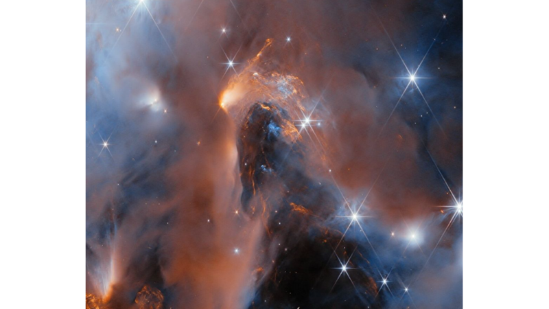 BİLMEDİĞİMİZ BİR ÇORBA: YILDIZ ÇORBASI