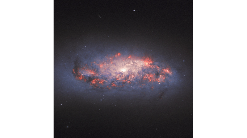 LIKE THE CENTER OF A FLOWER: NGC 972