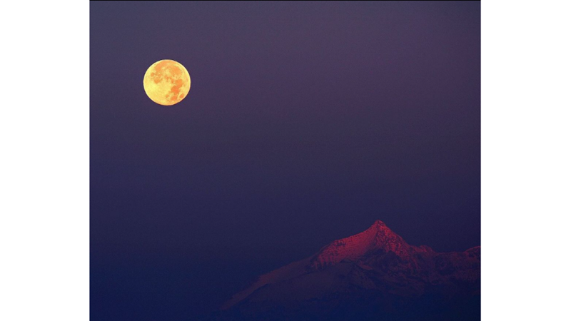 FULL MOON WITH A WITCHES' HOLIDAY CONCEPT: THE HUNTER'S MOON