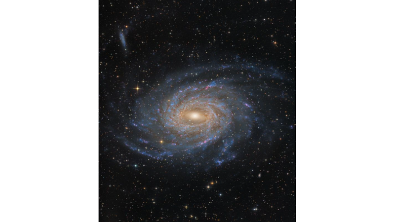 TAVUSKUŞU TAKIMYILDIZINDAN SARMAL GALAKSİ: NGC 6744