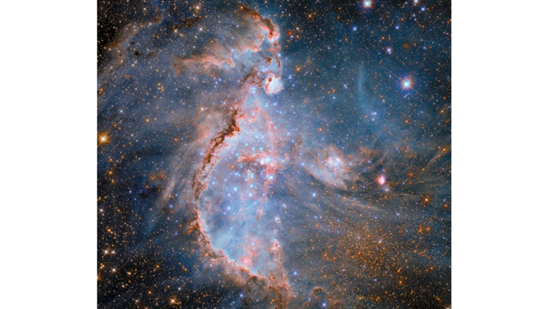 LIVE STAR FORMATION FACTORY