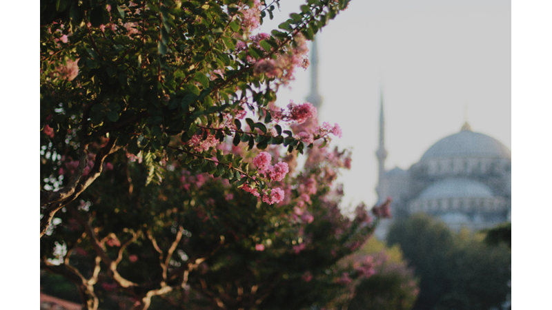 İSTANBUL, İSTANBUL OLALI BÖYLE NE GÖRMEDİ?