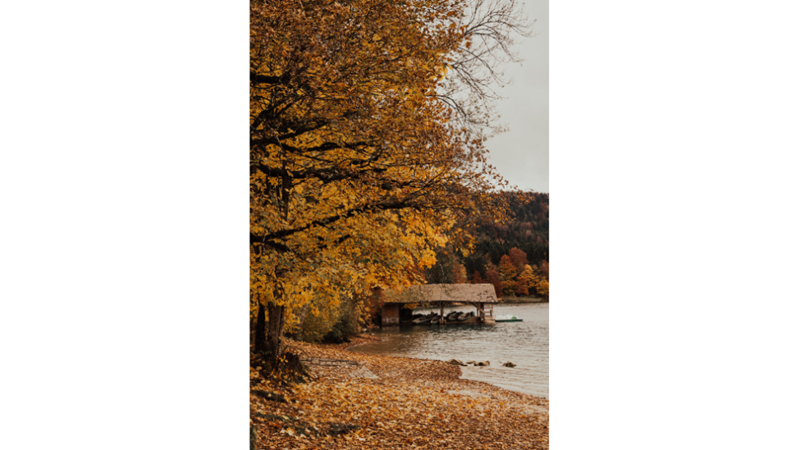 İLHAMLIK POZLAR: SONBAHAR RENKLERİNE KENDİNİ KAPTIRMAK