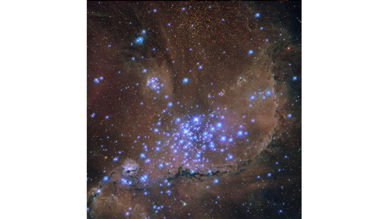 FROM OUR NEAREST GALAXY NEIGHBOUR: NGC 346