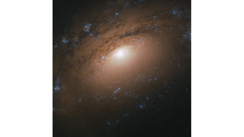 VERY DUSTY GALAXY: NGC 3169
