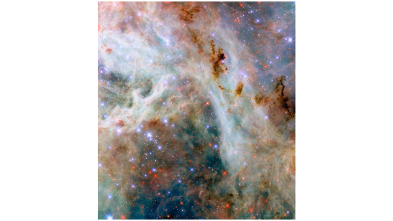 VALENTINE'S DAY IN THE SKY: TARANTULA NEBULA