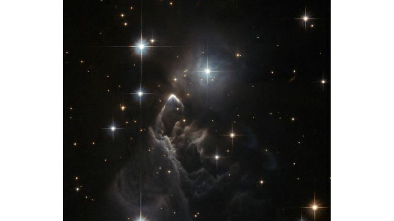 BRIGHT STARS AMONG DARK DUST CLOUDS: IRAS 05437+2502