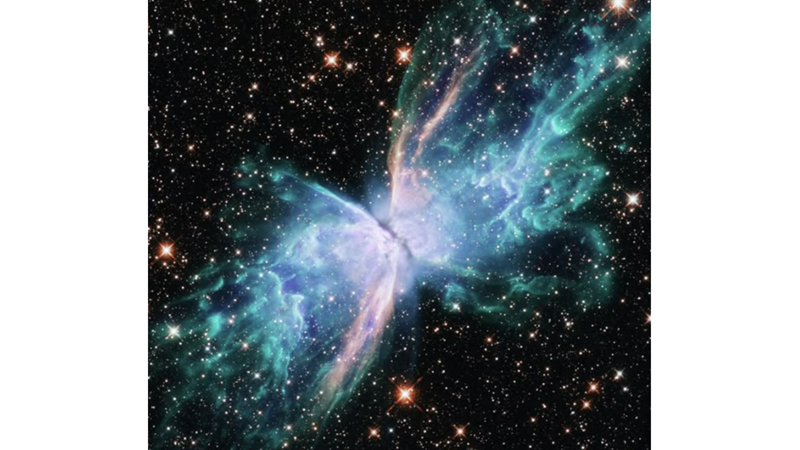 LIKE A REAL BUTTERFLY: CALDWELL 69