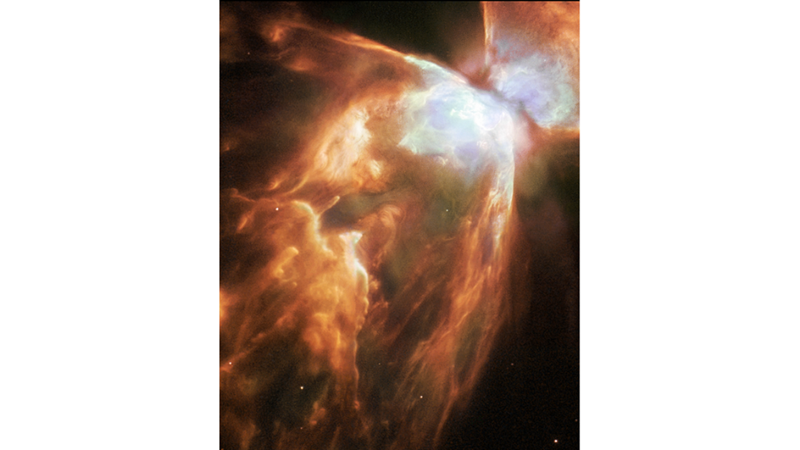 BOTH FIRE AND ICE: NEBULA THE INSECT