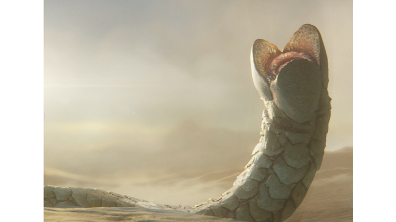 DEVASA BAĞIRSAK SOLUCANI: OLGOY KORKOY