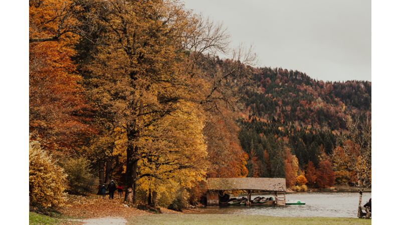 İLHAMLIK POZLAR: SONBAHAR RENKLERİNE KENDİNİ KAPTIRMAK