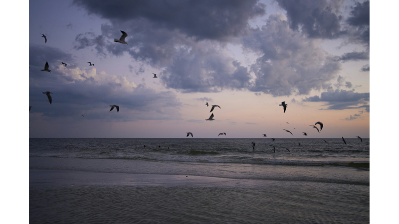 FARKINA VARDIĞIMIZDA BÜYÜLENİYORUZ: BİZ FARKINDA OLMADAN DOĞA KENDİ HALİNDE DÖNGÜSÜNE DEVAM EDİYOR