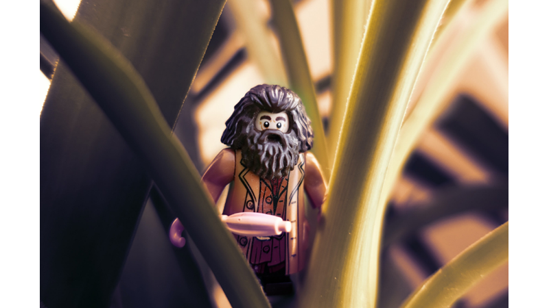 ROBBIE COLTRANE HATIRASINA CADILAR BAYRAMI'NDA HAGRID KOSTÜMÜ GİYİNMEK