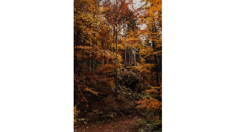 İLHAMLIK POZLAR: SONBAHAR RENKLERİNE KENDİNİ KAPTIRMAK