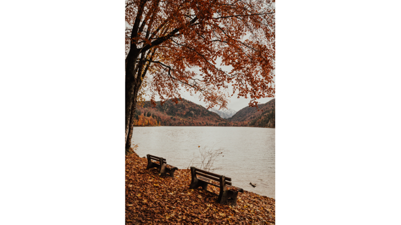 İLHAMLIK POZLAR: SONBAHAR RENKLERİNE KENDİNİ KAPTIRMAK