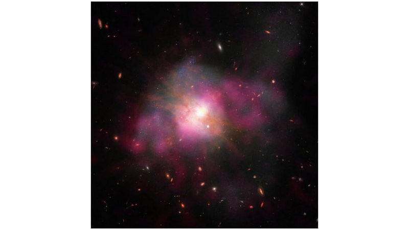 FUŞYAYA BERABER BAKALIM!