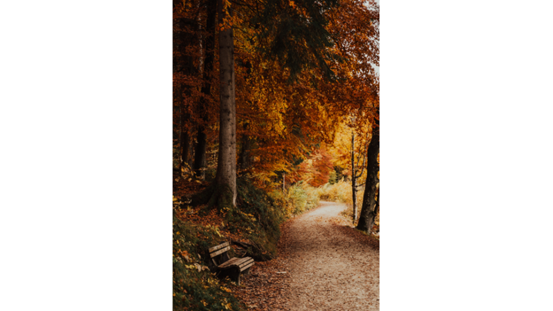 İLHAMLIK POZLAR: SONBAHAR RENKLERİNE KENDİNİ KAPTIRMAK