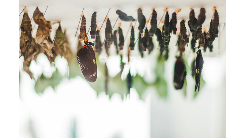 EVRİM BUGÜN HALA DEVAM EDİYOR!