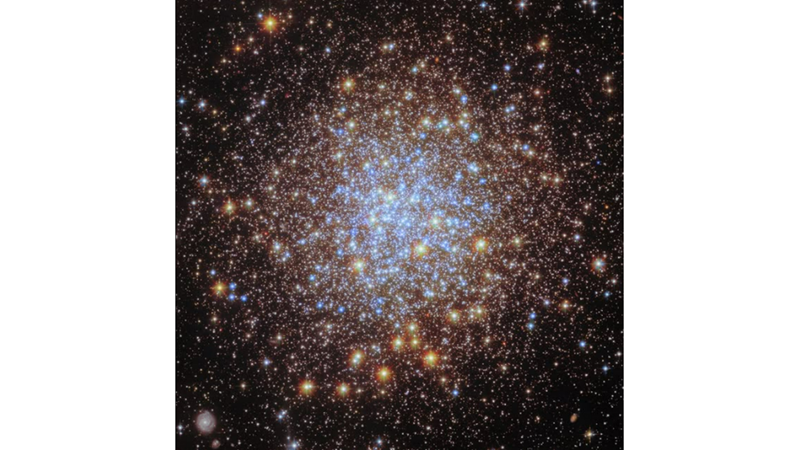 A GLOBAL STAR COMMUNITY: M72