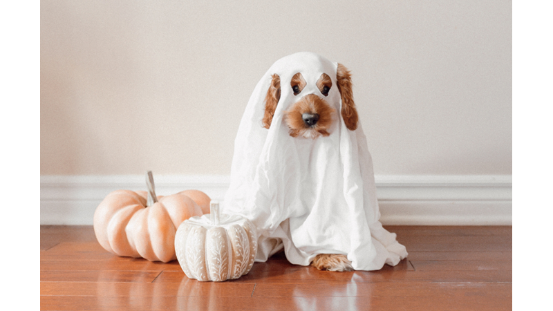 CADILAR BAYRAMI DEKORU: AÇIK RENKLER İLE GELEN SAMİMİ ORTAM