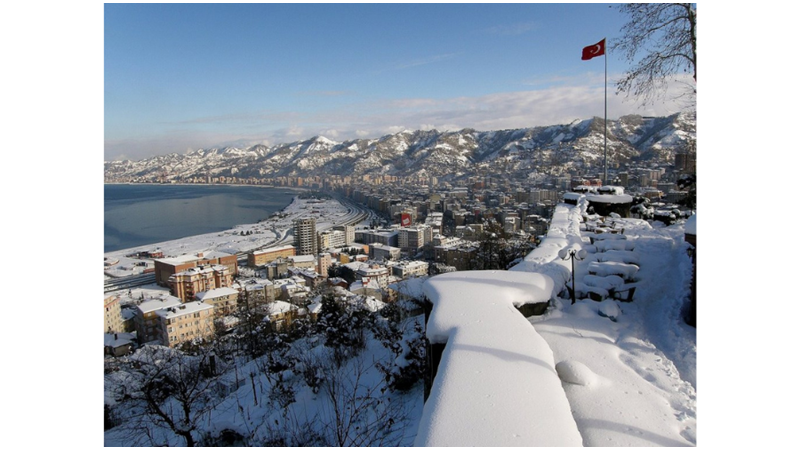 RİZELİ VE ŞİVELİ CANAVAR