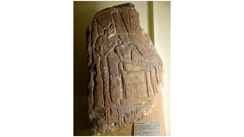 TANRIÇALAR KRALİÇESİ: MUT