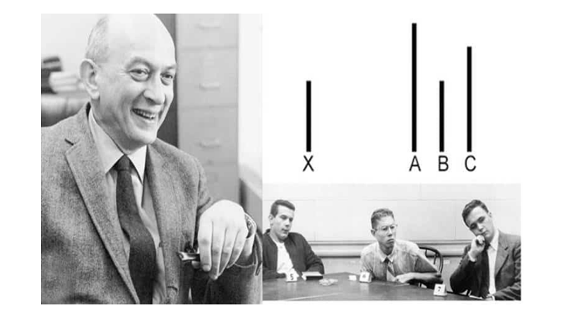 KİM KARAR VERİYOR?: ASCH DENEYİ