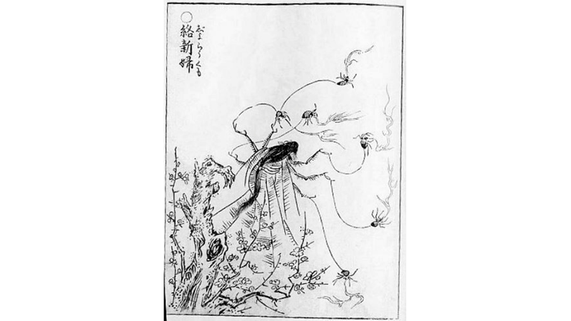 YAVAŞ YAVAŞ ÖLDÜREN ÖRÜMCEK: JOROGUMO