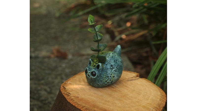 DOĞA RUHU YETİŞTİRMEK İSTER MİSİNİZ?