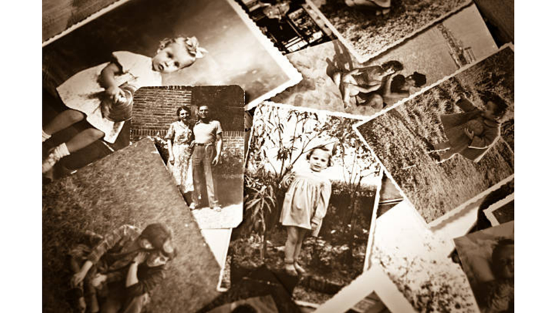 LET'S BUILD OUR FAMILY TREE!