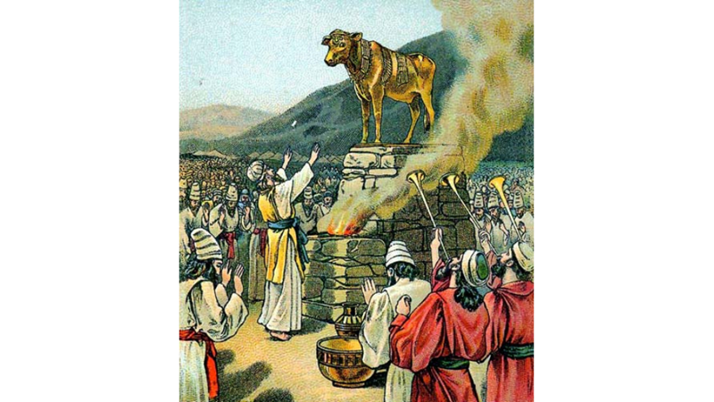 ALTIN BUZAĞI/ ALTIN DANA