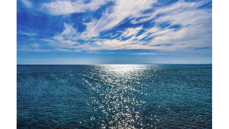 DID YOU KNOW YOU NEED TO SEE WATER? -Friendz10
